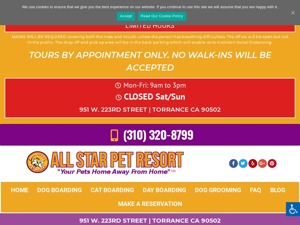 Start A Pet Hotel Business Business Ideas Starter Story