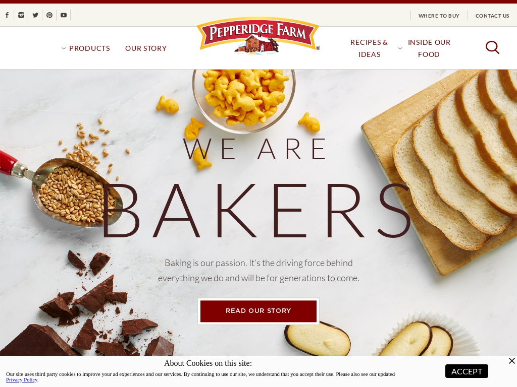 Start A Bread Bakery Business Ideas Starter Story