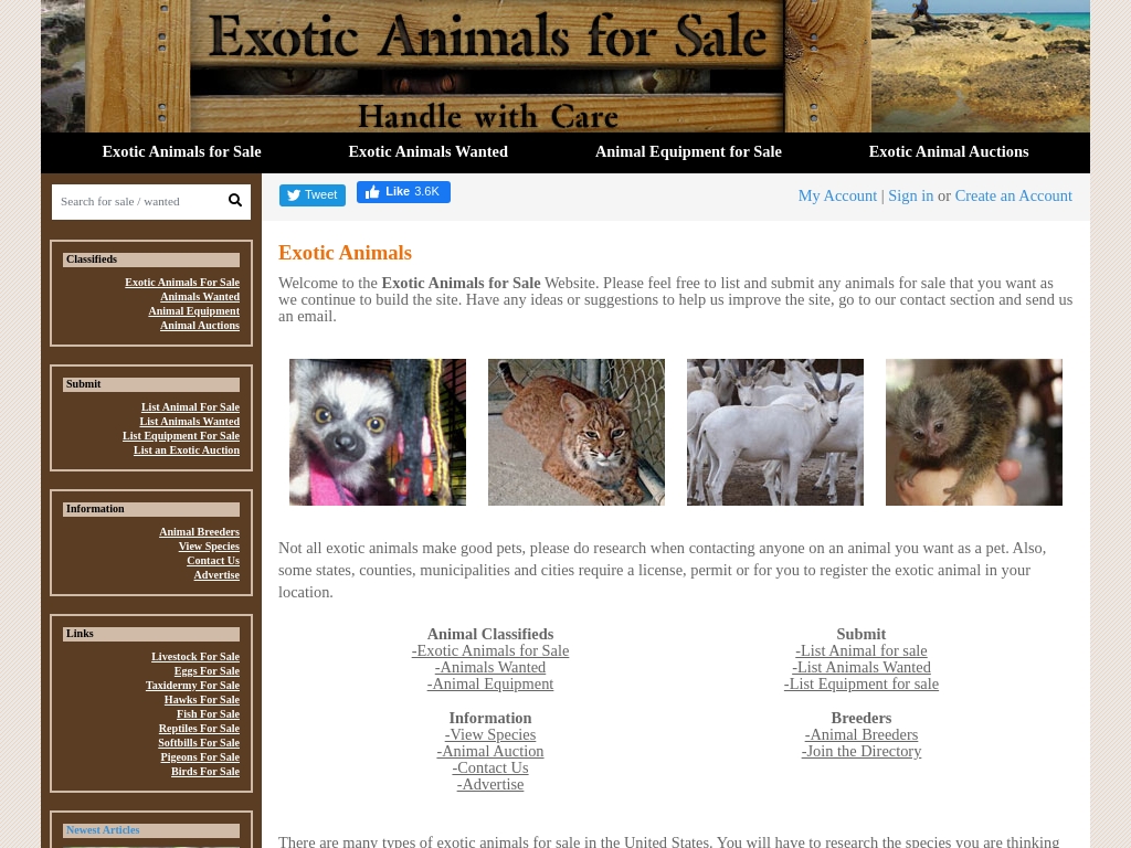24 Best Pet Store site Designs To Inspire You [2024] Starter