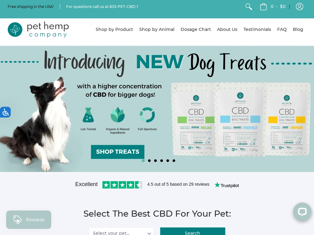 24 Best Pet Store site Designs To Inspire You [2024] Starter