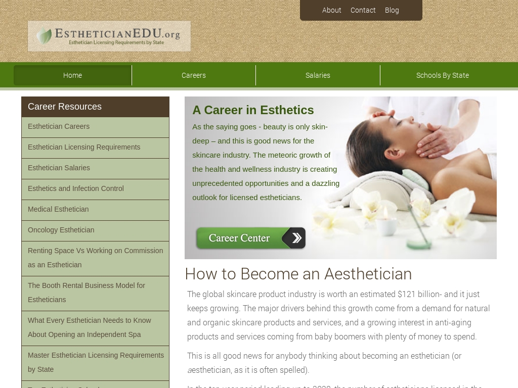 Start An Esthetician Business Business Ideas Starter Story