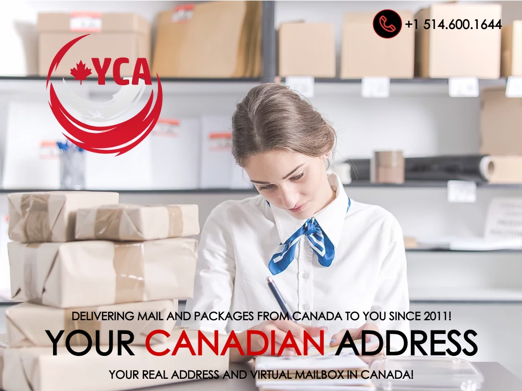 Start A Carrying And Forwarding Agency Business Ideas Starter