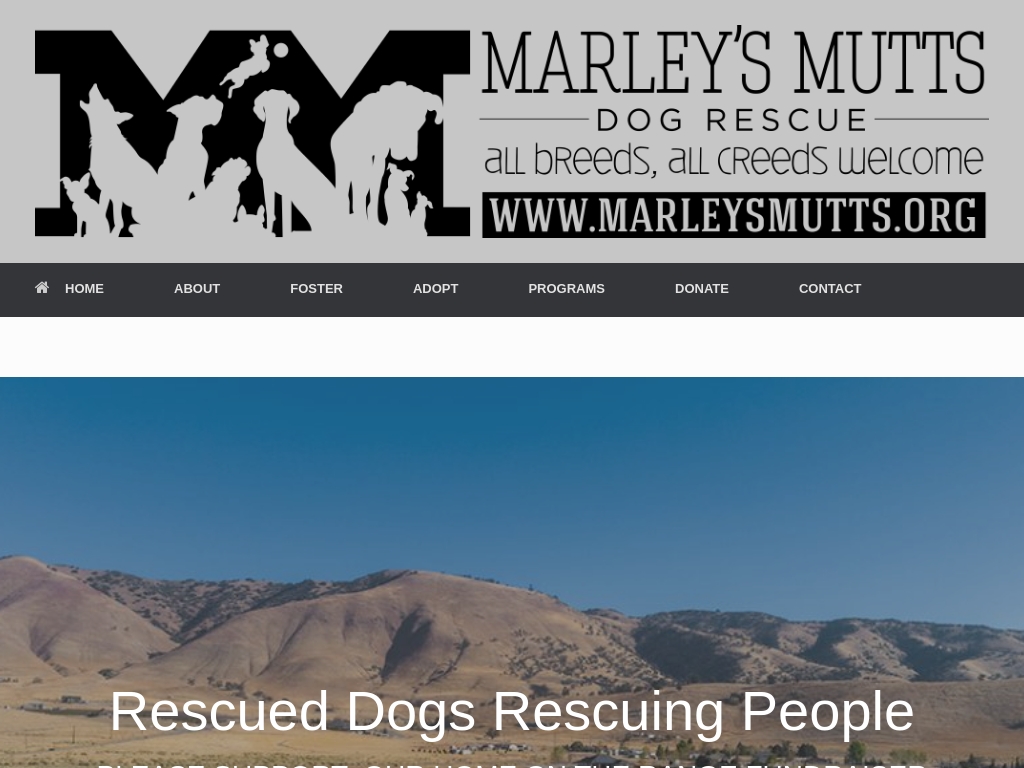 Start An Animal Saving Business Business Ideas Starter Story