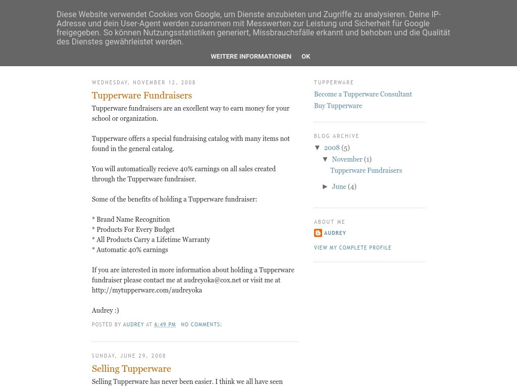 21 Trending Tupperware Businesses [2024] Starter Story