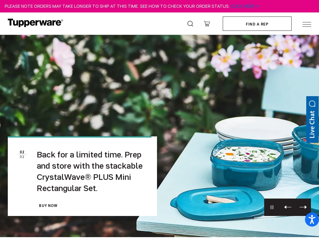 Start A Tupperware Business Business Ideas Starter Story