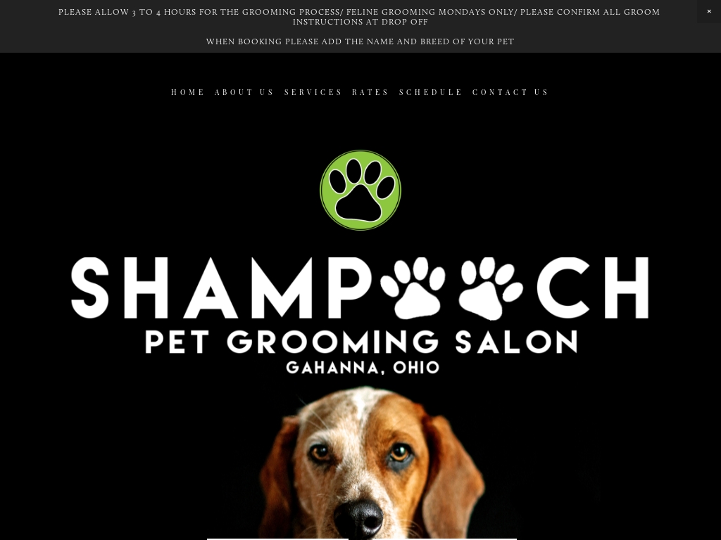 37 Trending Dog Grooming Businesses [2024] - Starter Story