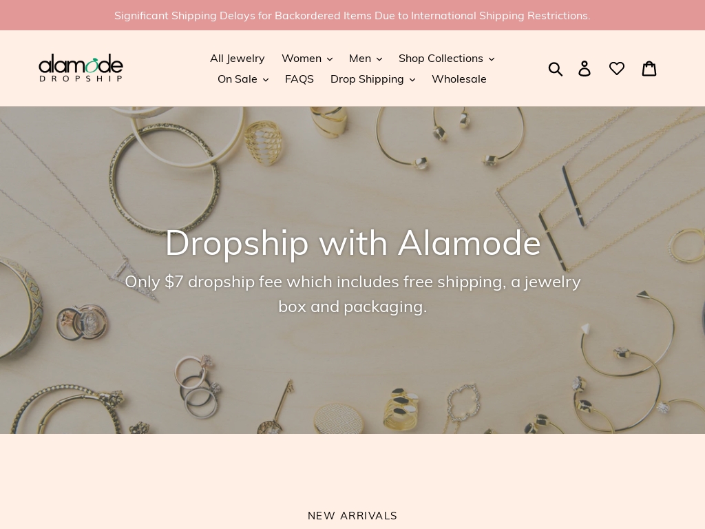 8 Trending Dropshipping Jewelry Businesses [2024] - Starter Story