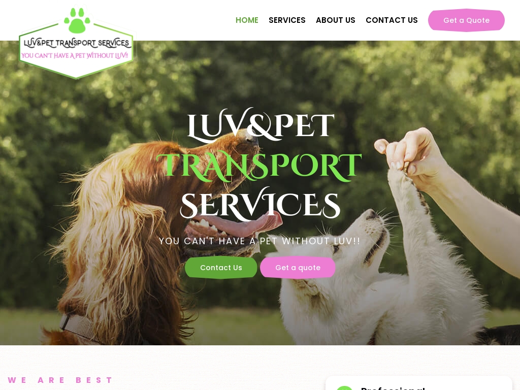 4 the luv of 2025 pets transport