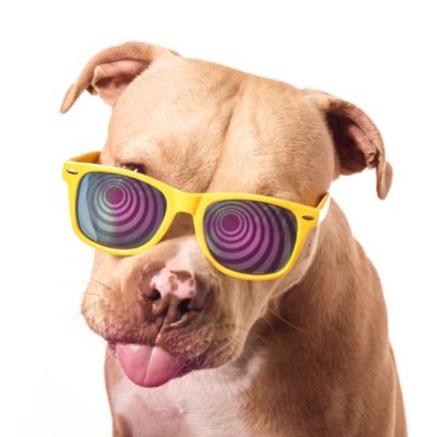 J.B. Shepard, founder of Puptrait
