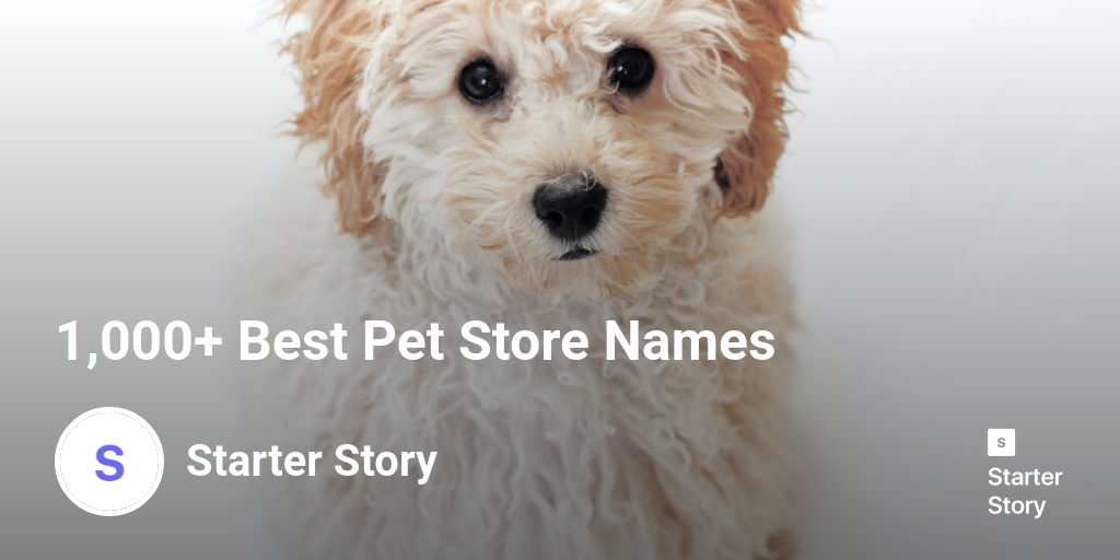 1 000 Best Pet Store Names Starter Story   Open Uri20210513 4 2eh413