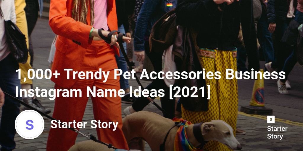 1,000+ Trendy Pet Accessories Business Instagram Name Ideas [2024]