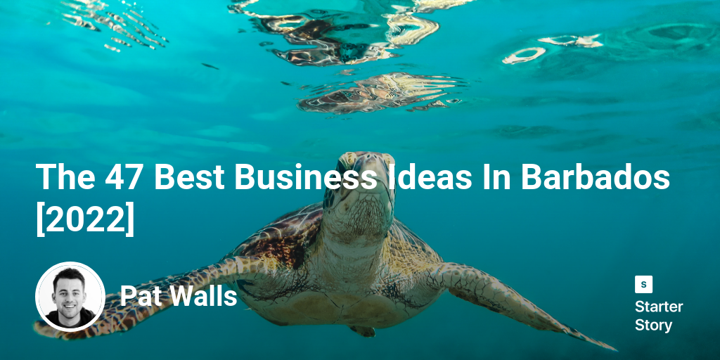 The 49 Best Business Ideas In Barbados [2023] Starter Story