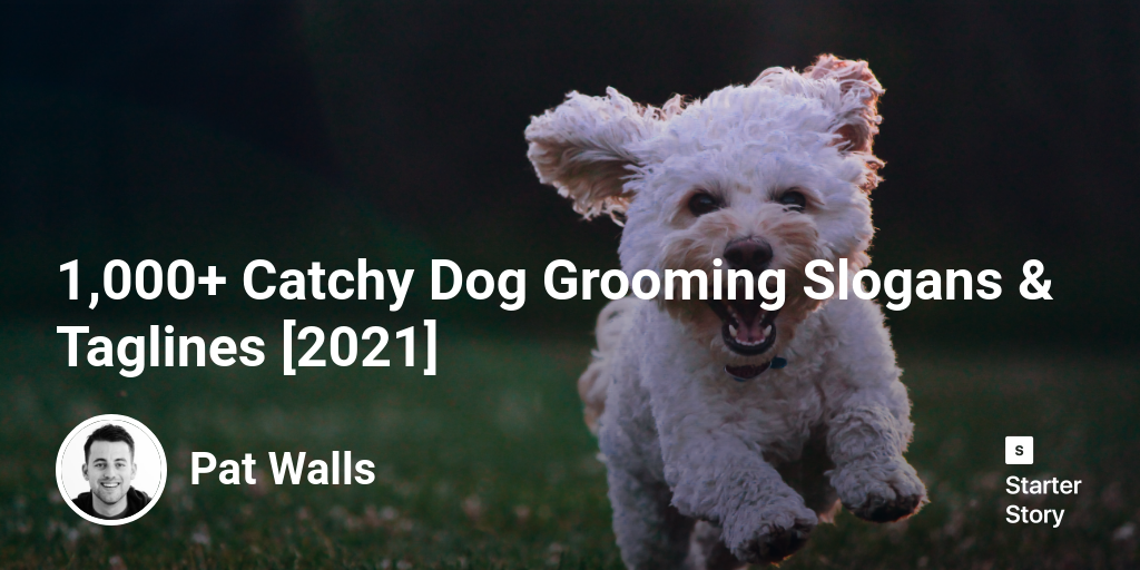 Cute dog hot sale grooming sayings