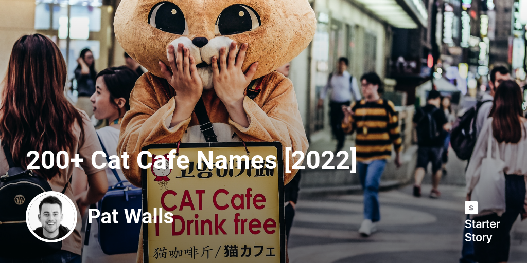 200+ Cat Cafe Names [2024] Starter Story