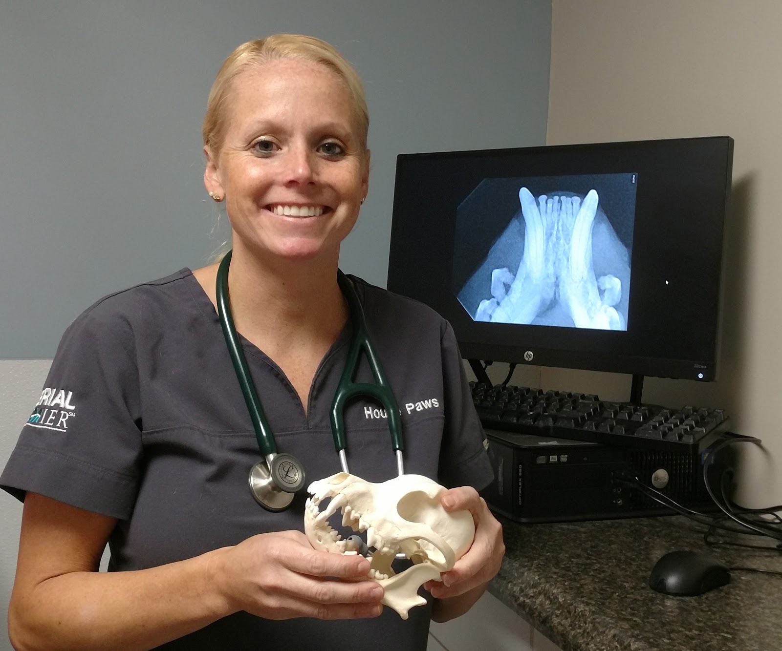 How We Started A Mobile Veterinary Service Serving Our Community