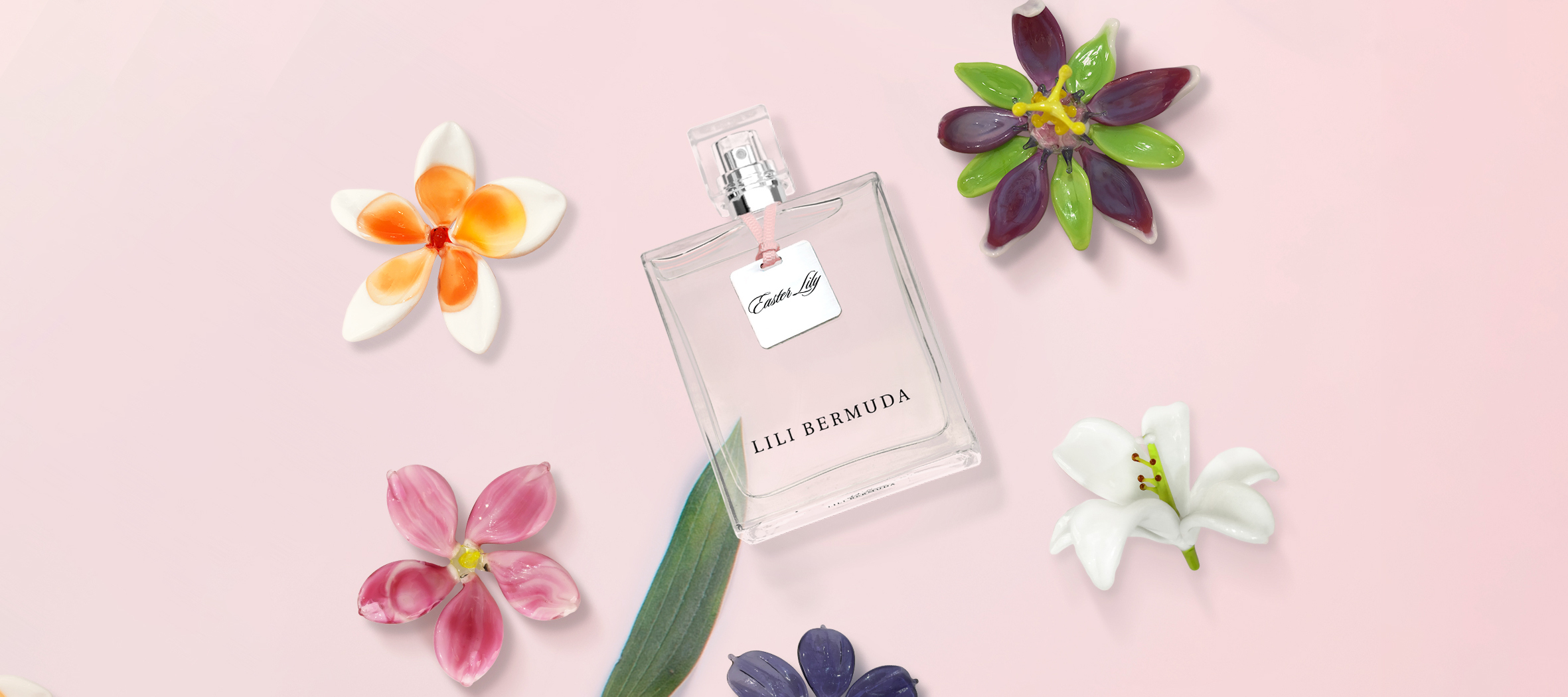 Lili Bermuda