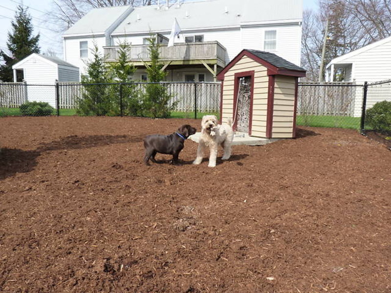 Apartment Communities Landings Real Estate Group