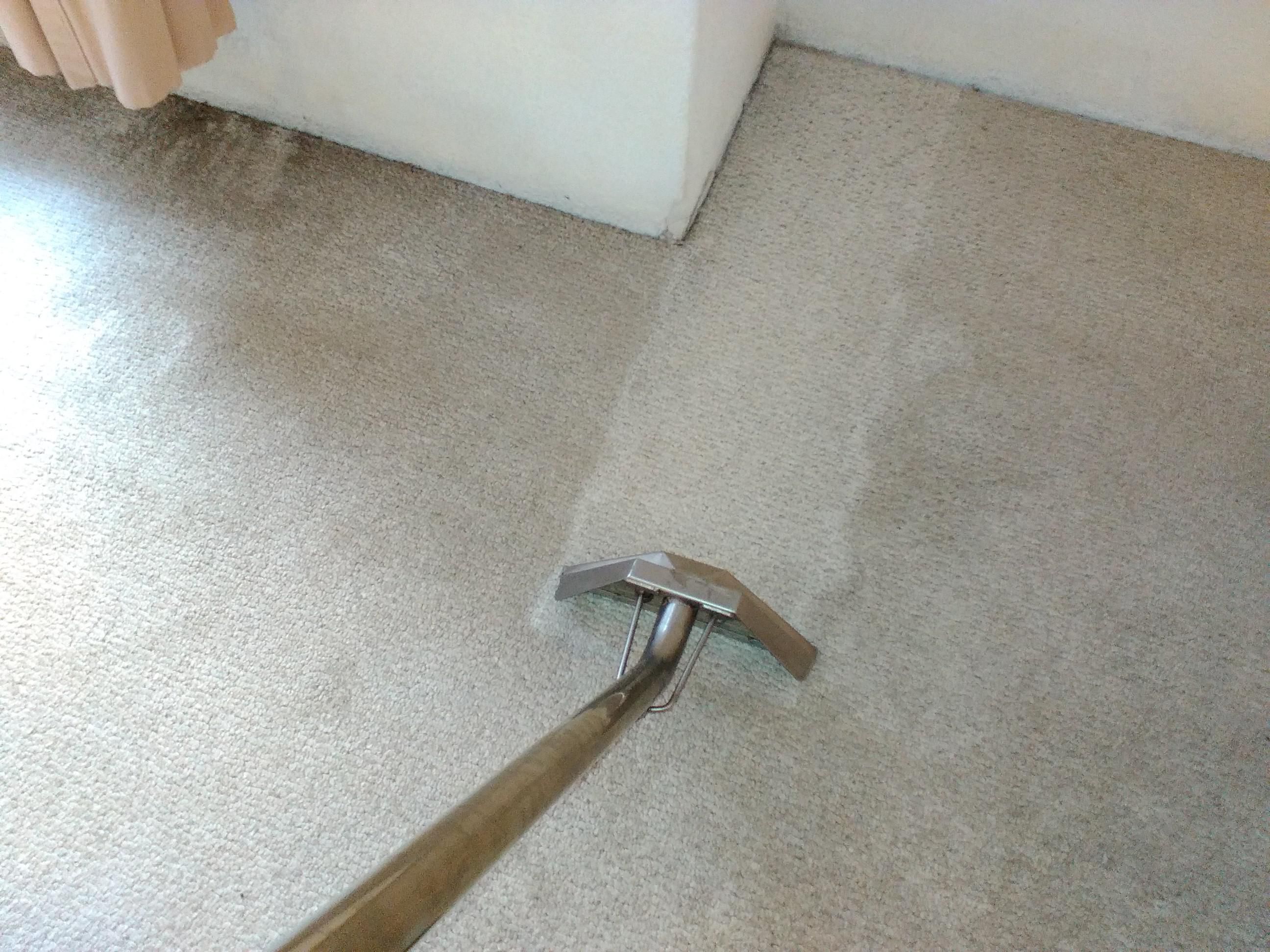 Lavado de Alfombra Servicio Profesional | Anunciosgratis.mx