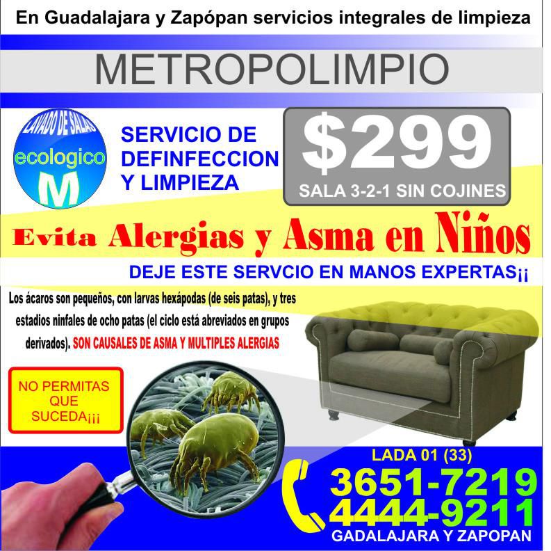 Lavado de muebles en zapopan