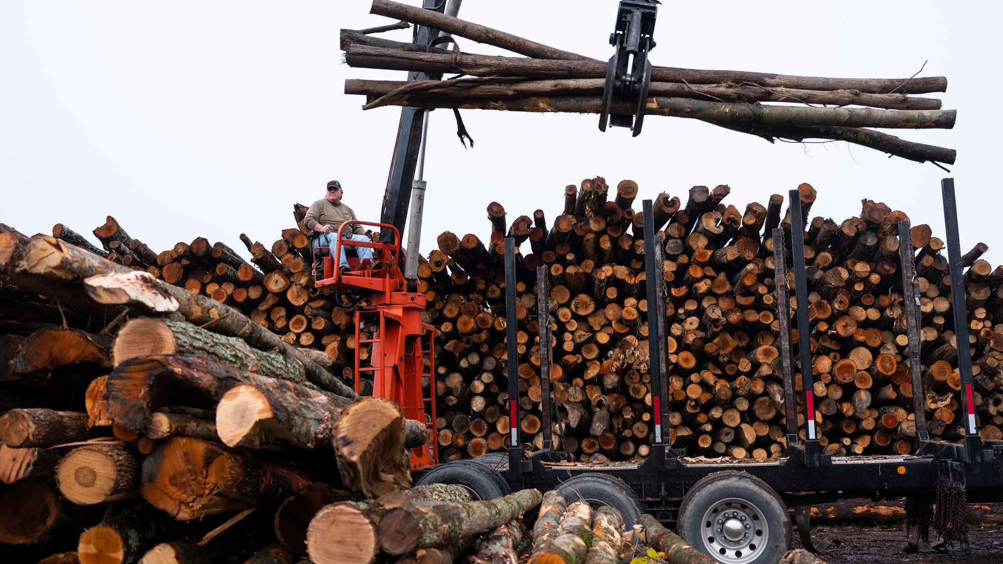 Vermont Ramps Up Wood Burning to Cut Fossil Fuel Use, but What About