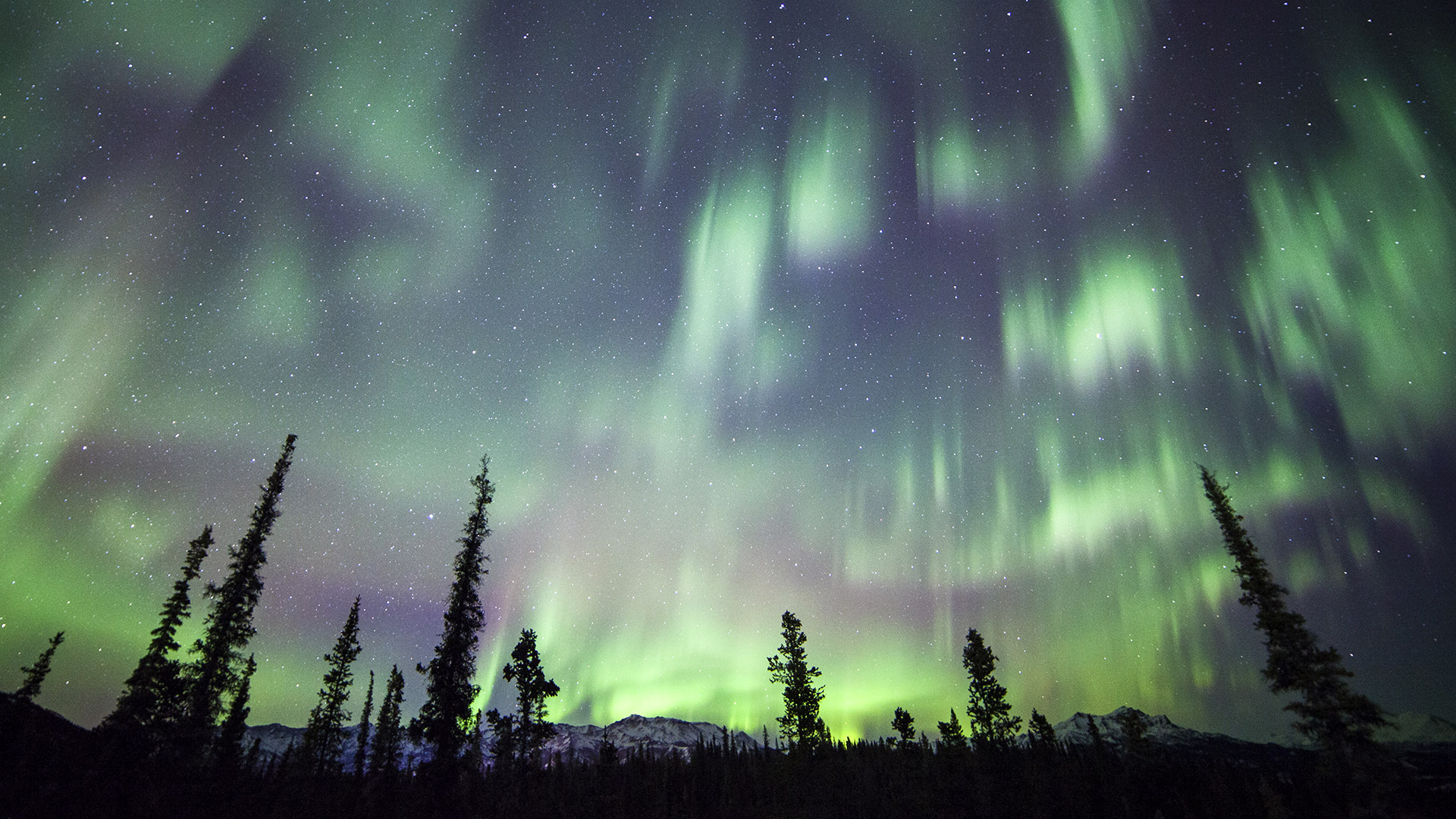 Daniel Leifheit/Getty Images