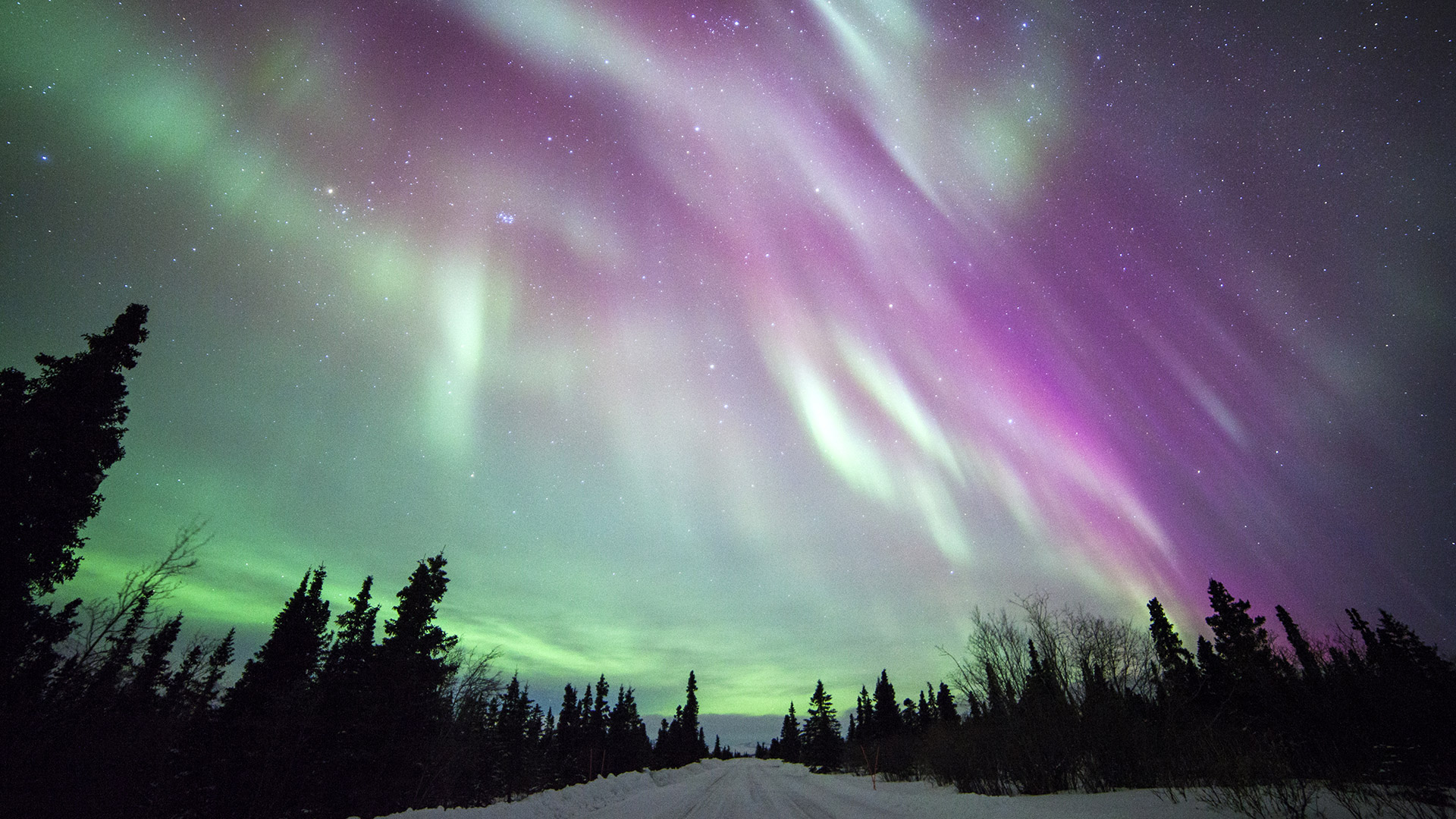 Daniel Leifheit/Getty Images