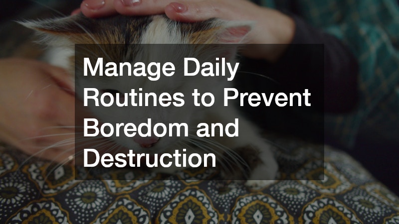 Manage Daily Routines to Prevent Boredom and Destruction