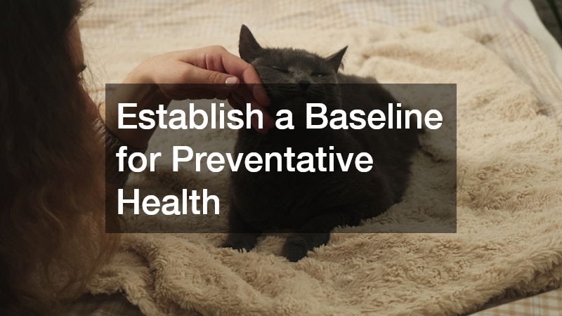 Establish a Baseline for Preventative Health