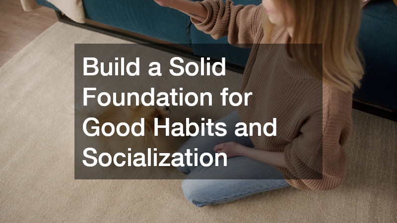 Build a Solid Foundation for Good Habits and Socialization