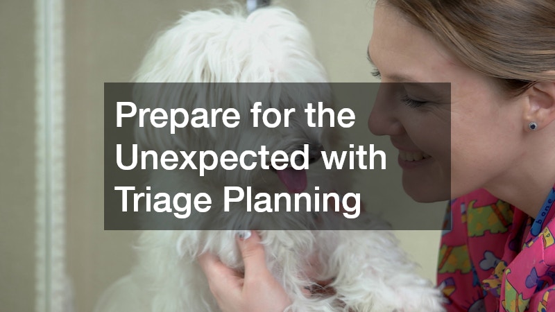 Prepare for the Unexpected with Triage Planning