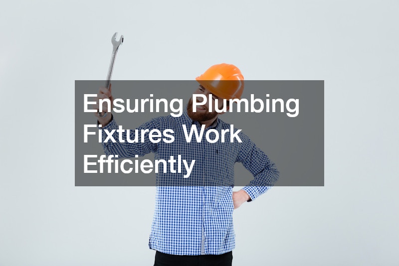 Ensuring Plumbing Fixtures Work Efficiently