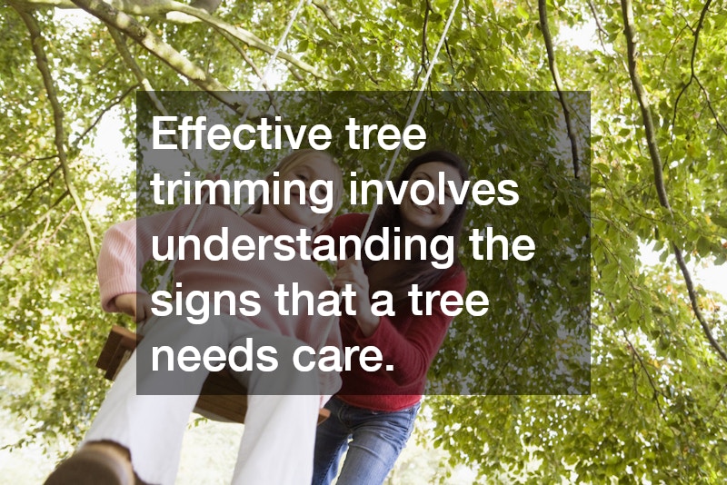 Effective tree trimming involves understanding the signs that a tree needs care.