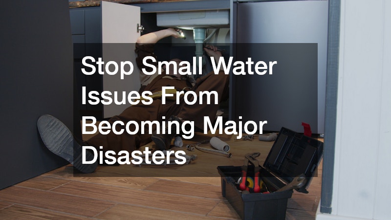 Stop Small Water Issues From Becoming Major Disasters