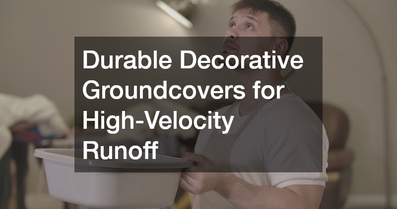 Durable Decorative Groundcovers for High-Velocity Runoff