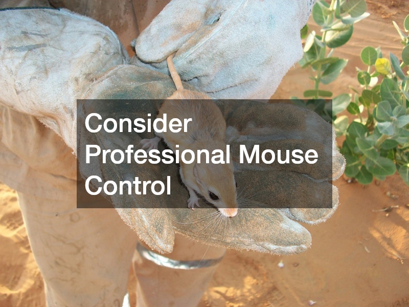 Consider Professional Mouse Control