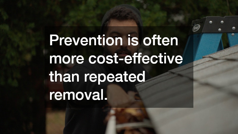 Prevention is often more cost-effective than repeated removal.