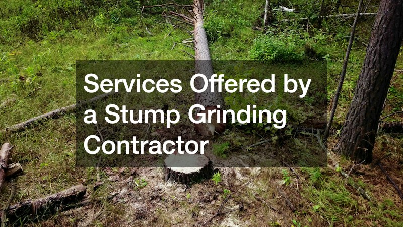 Services Offered by a Stump Grinding Contractor
