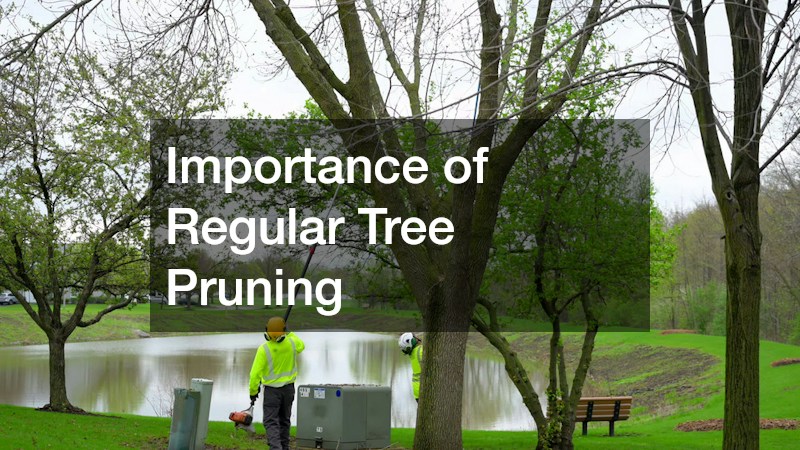 Importance of Regular Tree Pruning