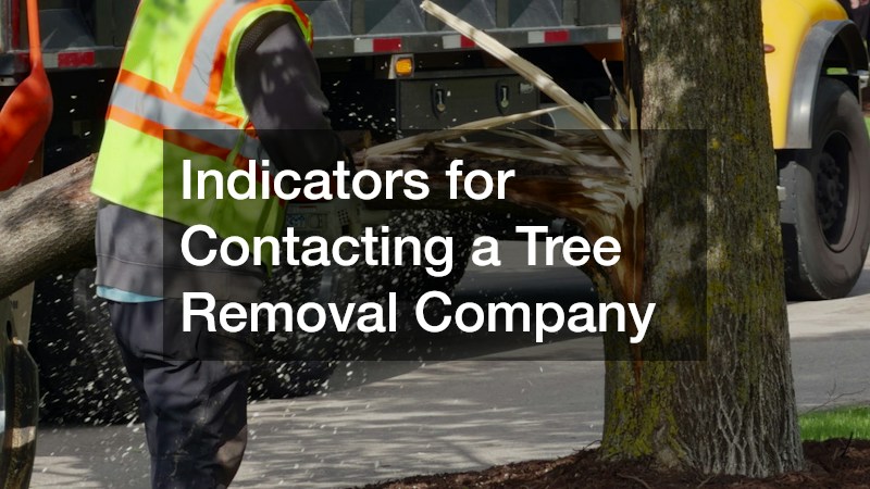 Indicators for Contacting a Tree Removal Company