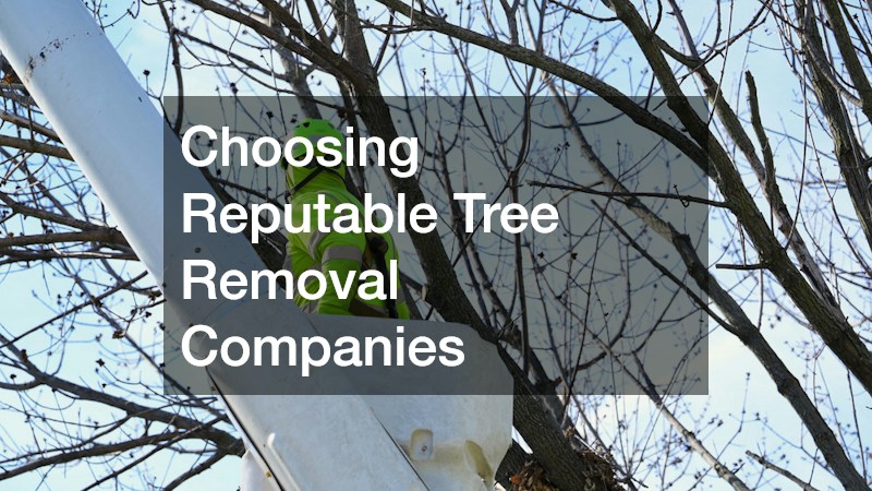 Choosing Reputable Tree Removal Companies