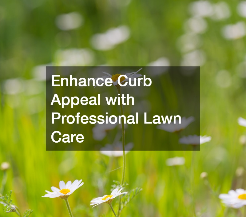 Enhance Curb Appeal with Professional Lawn Care