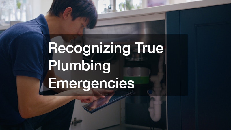 Recognizing True Plumbing Emergencies