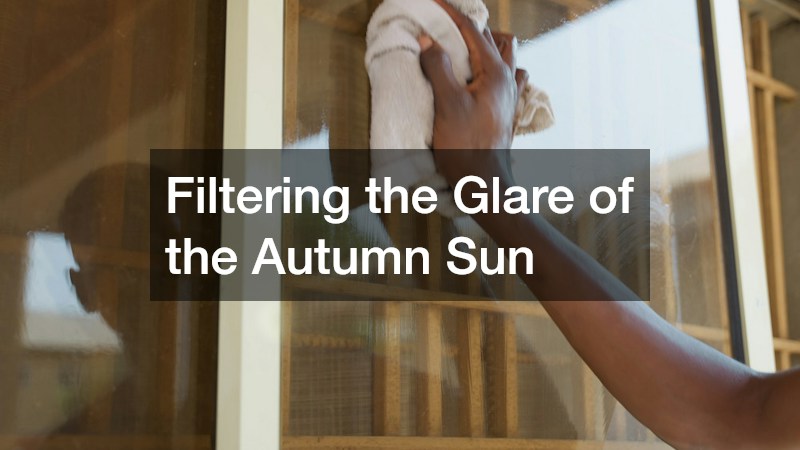 Filtering the Glare of the Autumn Sun