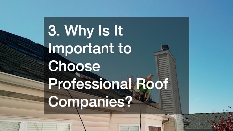 3. Why Is It Important to Choose Professional Roof Companies?