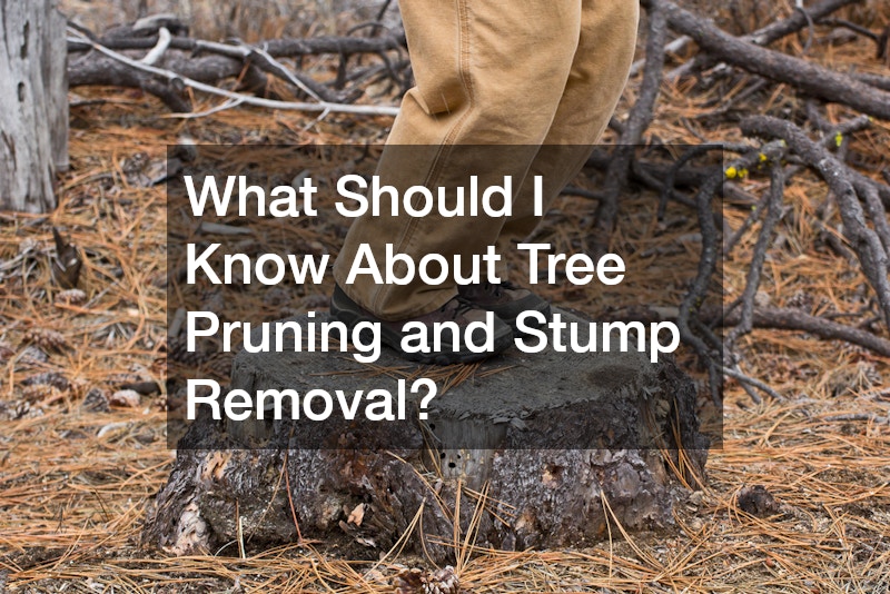 What Should I Know About Tree Pruning and Stump Removal?
