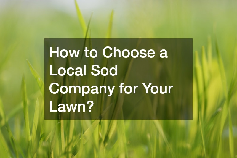 How to Choose a Local Sod Company for Your Lawn?