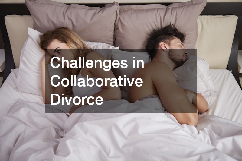 Challenges in Collaborative Divorce