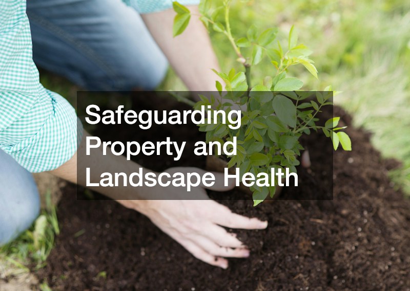 Safeguarding Property and Landscape Health