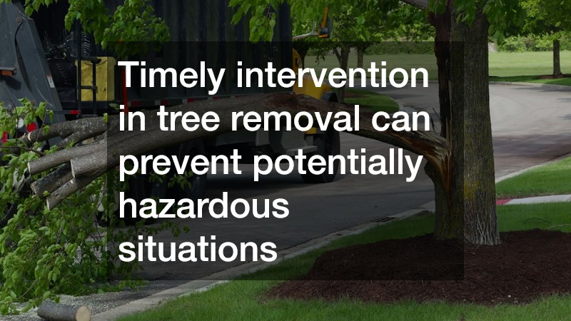 Timely intervention in tree removal can prevent potentially hazardous situations