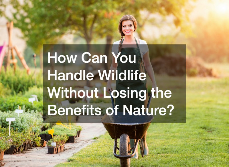 How Can You Handle Wildlife Without Losing the Benefits of Nature?